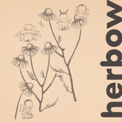 Baby és Bambino termékek