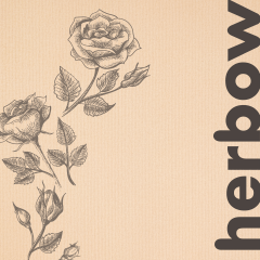 3in1 mosóparfüm - öblítő koncentrátum