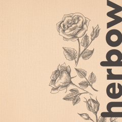 2in1 mosóparfüm - öblítő koncentrátum