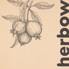 Gépi mosogatószerek